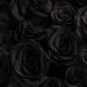 Meet your Posher, Briana